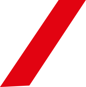 slider-h1-shape-4